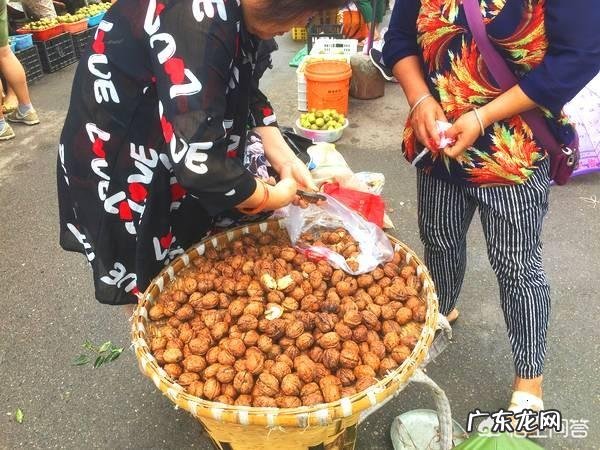 25岁女性,不想去外地打工,在农村做什么小生意比较赚钱