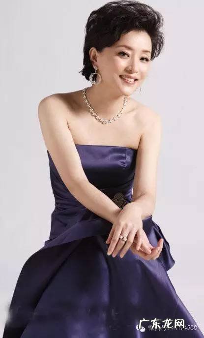 杨澜老公吴征前妻 杨澜老公