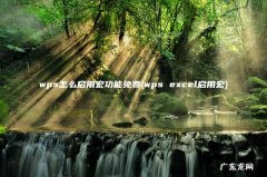 wps excel启用宏 wps怎么启用宏功能免费