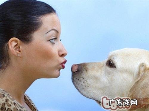 学好向小宠物共享密秘