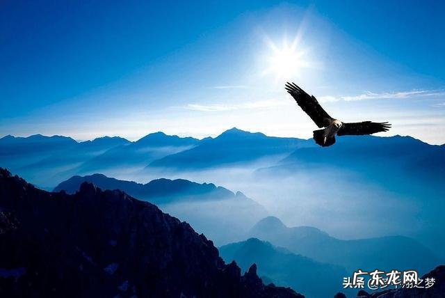 2021利润很吓人的冷门生意 2020年有什么好的创业项目,农村创业50个项目