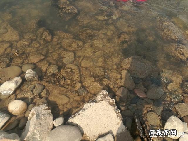 有哪些项目适合农村小型代加工作坊