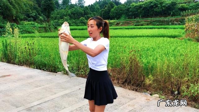 适合农村的养殖项目有哪些养殖什么销路好