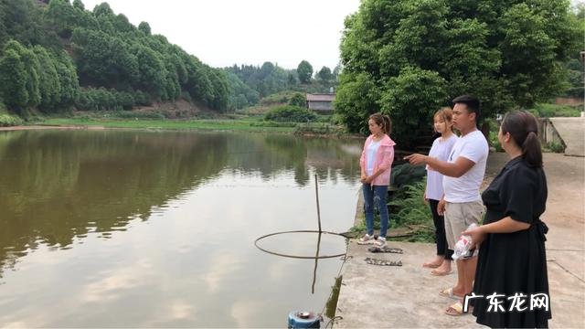 适合农村的养殖项目有哪些养殖什么销路好