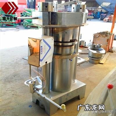 想在农村开间小作坊，带动村民的收益，请问可以做什么项目