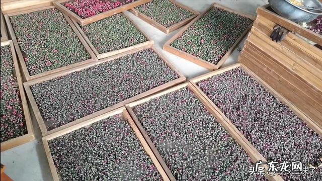 想在农村开间小作坊,带动村民的收益,请问可以做什么项目