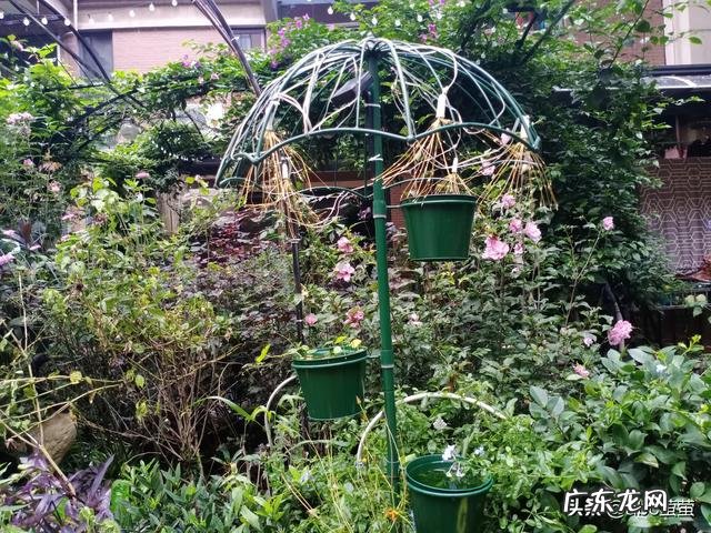 有个朋友想回农村创业,搞个小作坊,有没有推荐项目