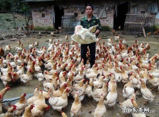 有个朋友想回农村创业,搞个小作坊,有没有推荐项目