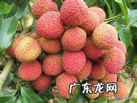 疫情过后,在农村有哪些投入小,收益好的创业项目推荐