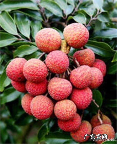 疫情过后,在农村有哪些投入小,收益好的创业项目推荐