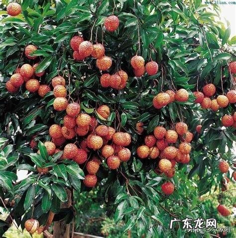 疫情过后,在农村有哪些投入小,收益好的创业项目推荐