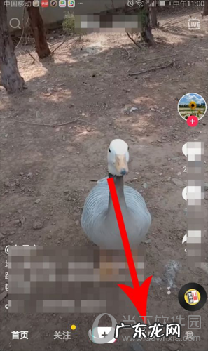 抖音如何建群聊 抖音怎么创建群聊