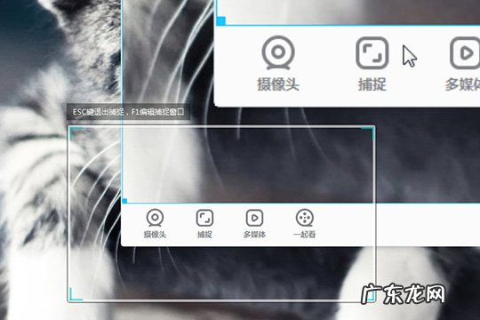 yy客户端怎么全屏看直播 YY开播怎么捕捉窗口屏幕