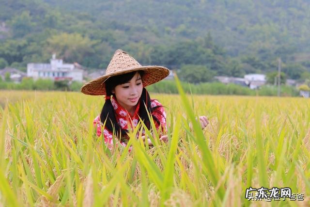 在农村适合做什么小本生意