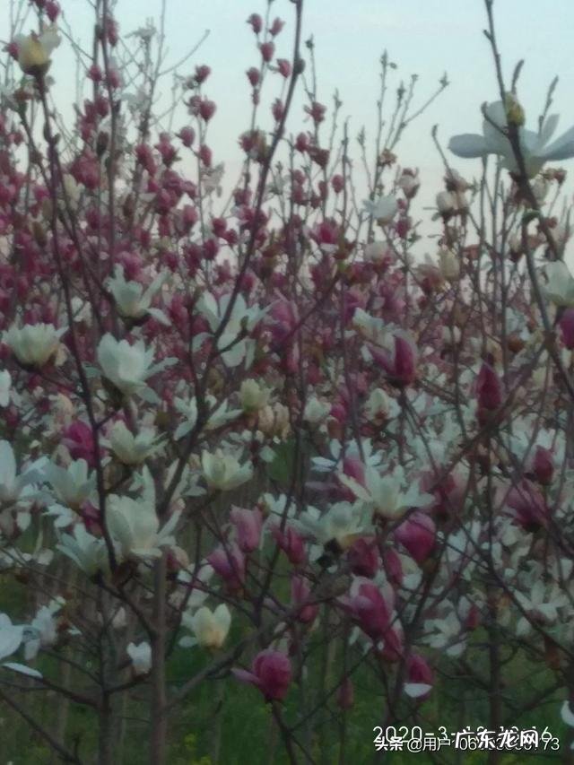 在农村做什么生意好呢最好是收入比外出打工的还多