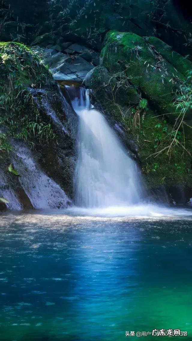 在农村做什么生意好呢最好是收入比外出打工的还多