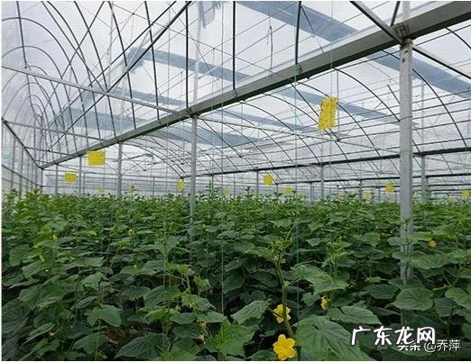 在农村做什么生意好呢最好是收入比外出打工的还多