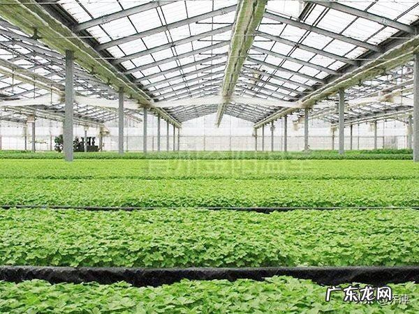 在农村做什么生意好呢最好是收入比外出打工的还多