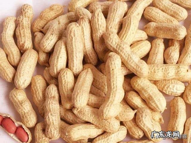 适合一个人做的生意 今年什么生意比较好做哦,现在做什么生意赚钱