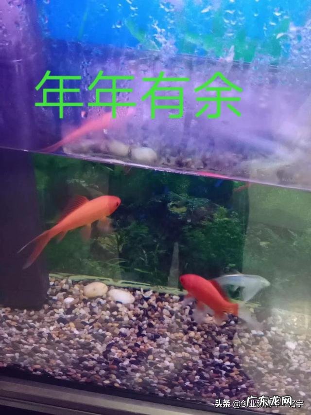 今年哪个行业比较好做，求指教