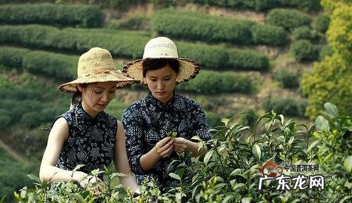现在卖什么最好最容易赚钱? 今年做什么比较好赚钱,今年最好的行业赚钱的是什么