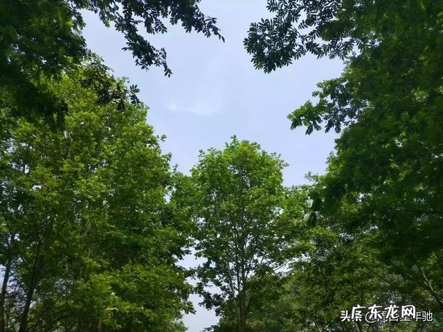 现在卖什么最好最容易赚钱? 今年做什么比较好赚钱,今年最好的行业赚钱的是什么