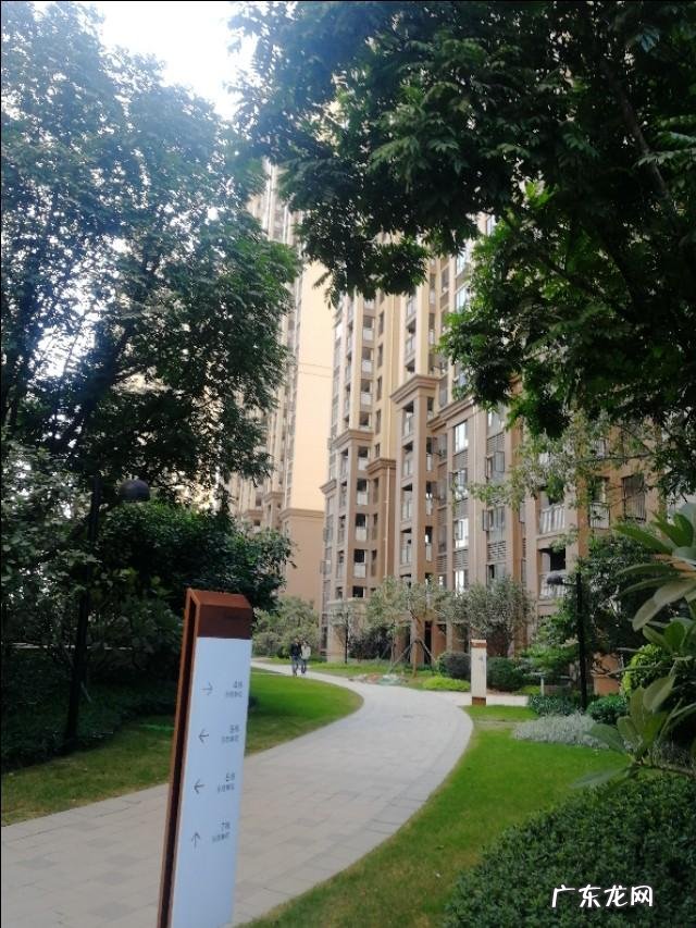 老公丢下老婆回老家过年 压力大不回家过年,老婆很快要生了,只想搞钱!有没有什么好推荐?一个能忍着过年都不回家的人