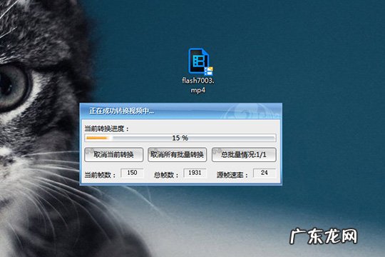 flash可以转换成mp4格式吗 Flash转换王怎么转成mp4格式