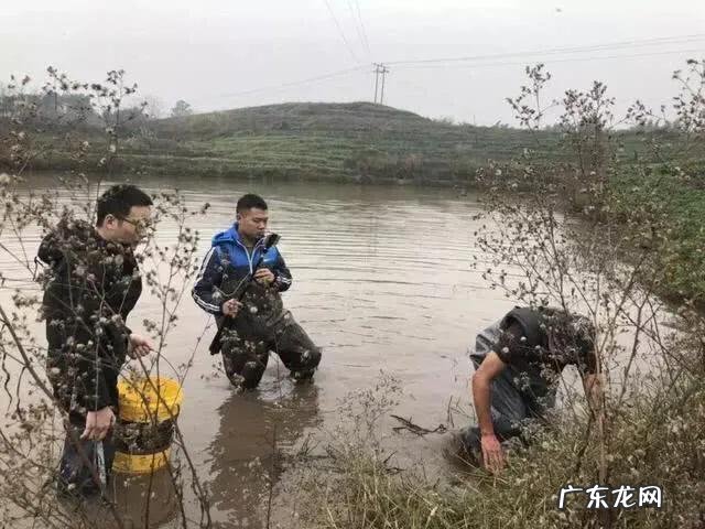 现在干什么比较挣钱 现在的社会，做什么赚钱比较快？现在什么行业最赚钱