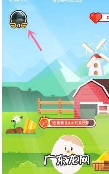 支付宝养小鸡饲料容量怎么升级?