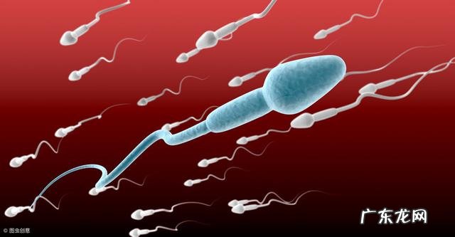 还为怀孕难、胎停、孩子不健康担心吗?做这些孕前检查烦恼一扫光