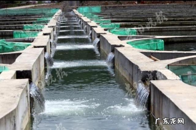 在农村养殖什么来钱快?