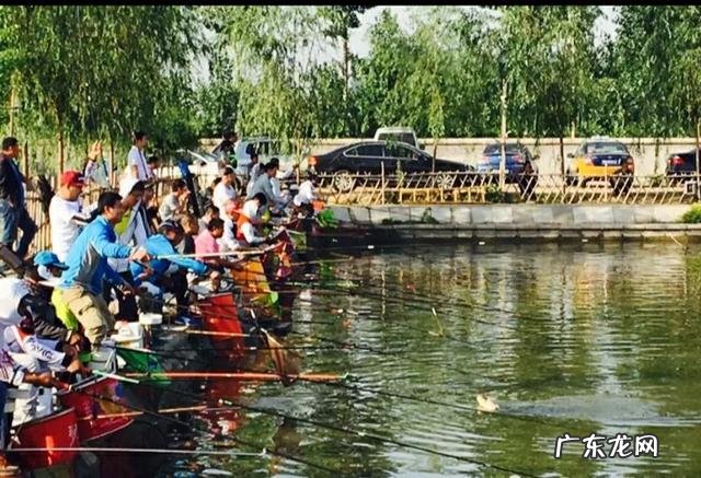 在农村养殖什么来钱快?