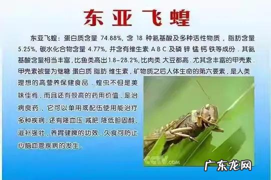 回老家养殖什么好 农村养殖什么回本快呢?回农村搞养殖养什么