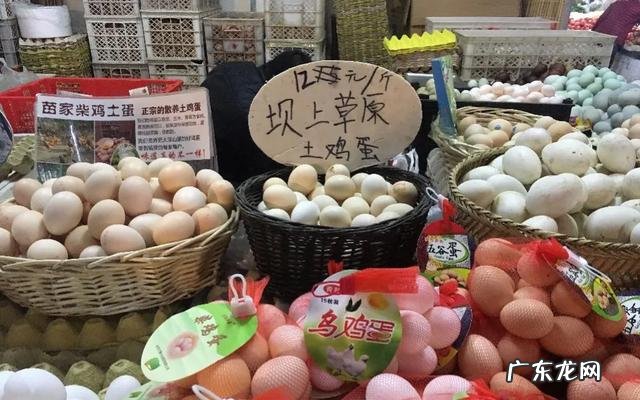 回老家养殖什么好 农村养殖什么回本快呢?回农村搞养殖养什么