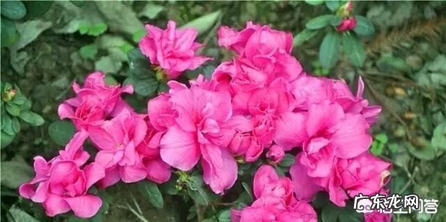 手上20万，如何理财