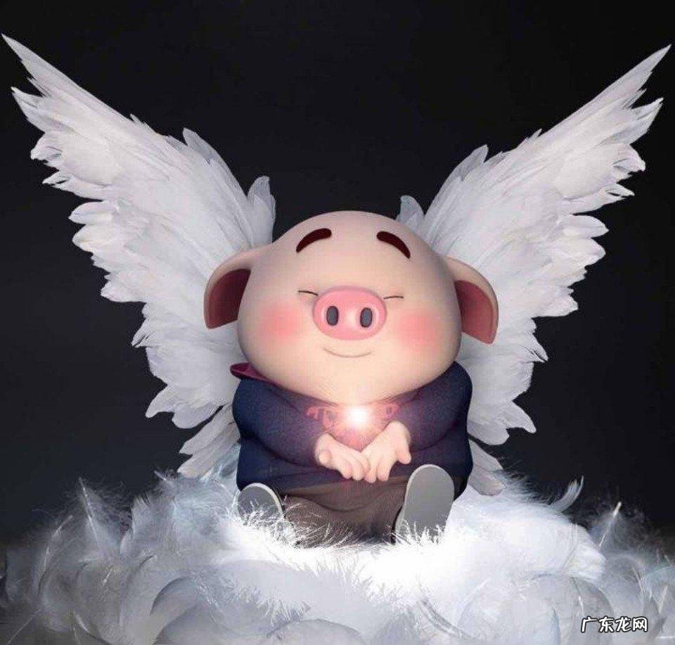 飞猪怎么看座位号?退票要手续费吗?