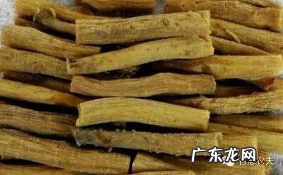 种药材哪样又快又赚钱 现在种植什么药材能够赚钱?现在种什么药材好