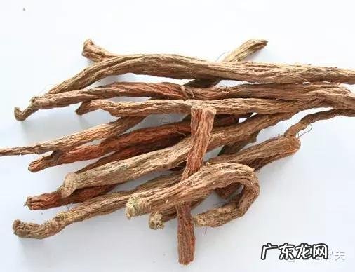 种药材哪样又快又赚钱 现在种植什么药材能够赚钱?现在种什么药材好