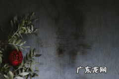 虾皮巴西站点怎么选品？哪些比较热销？