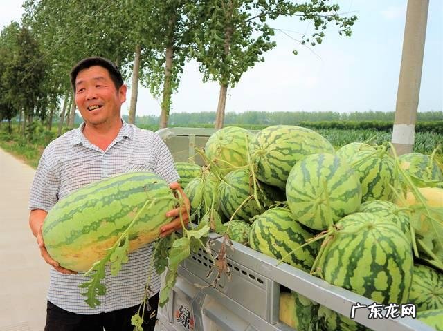 农村干什么行业能挣钱 目前农村种什么赚钱收益最好,种这种可以赚钱吗?乡下做什么比较赚钱