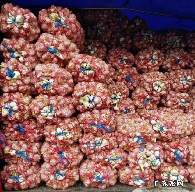 农村干什么行业能挣钱 目前农村种什么赚钱收益最好,种这种可以赚钱吗?乡下做什么比较赚钱