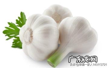 农村干什么行业能挣钱 目前农村种什么赚钱收益最好,种这种可以赚钱吗?乡下做什么比较赚钱