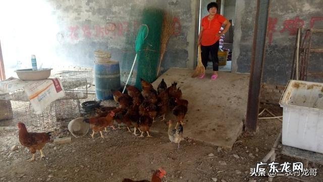 农村一层带院子效果图 农村有个院子,还有几间屋,养殖什么好呢,什么挣钱?普通农村院子改造