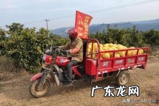 农村一层带院子效果图 农村有个院子,还有几间屋,养殖什么好呢,什么挣钱?普通农村院子改造