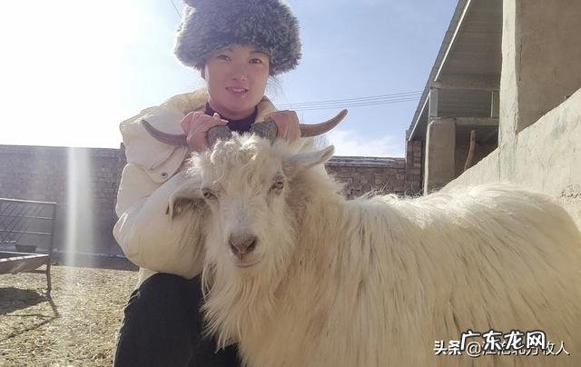 北方小投资养殖业什么最赚钱 养殖业什么赚钱最快?明年养殖业什么最赚钱