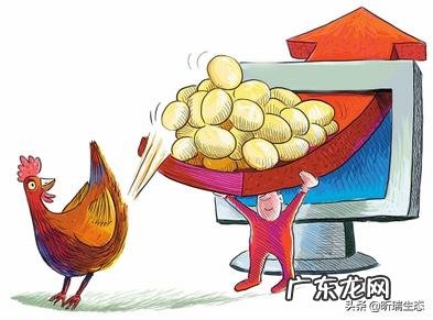 北方小投资养殖业什么最赚钱 养殖业什么赚钱最快?明年养殖业什么最赚钱