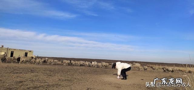 北方小投资养殖业什么最赚钱 养殖业什么赚钱最快?明年养殖业什么最赚钱