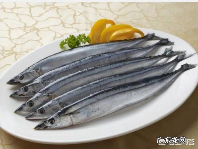 北方小投资养殖业什么最赚钱 养殖业什么赚钱最快?明年养殖业什么最赚钱