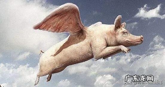 2020年做什么最挣钱 2020年做什么最赚钱？网上赚钱的职业